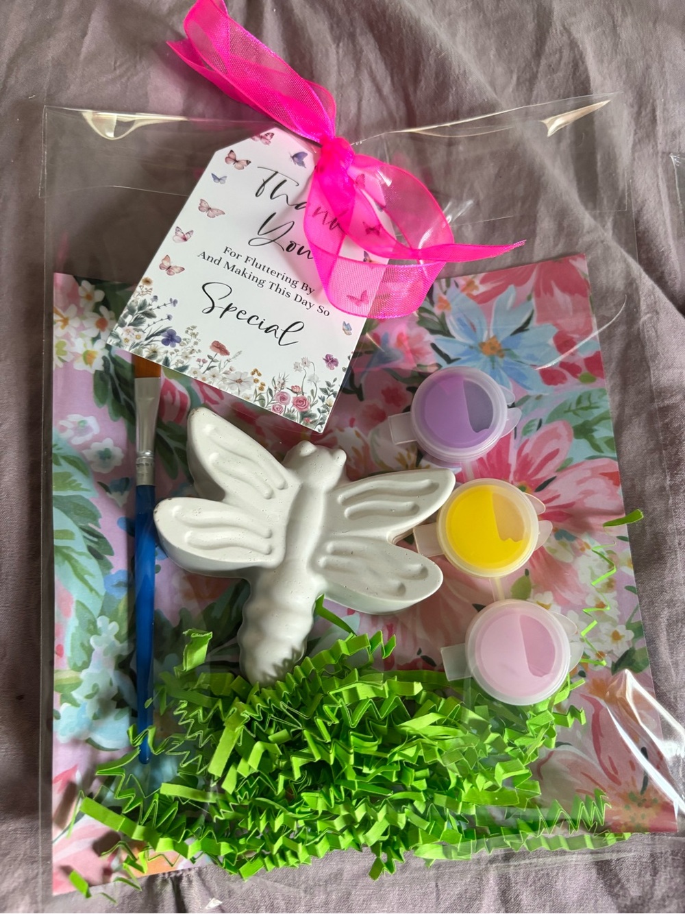 Party Paint-Your-Own Dragonfly Favor Kit - Pink Floral